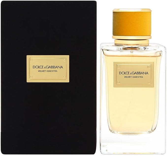 Perfume para mujer Velvet Ginestra de Dolce & Gabbana de 150 Ml - caja y frasco