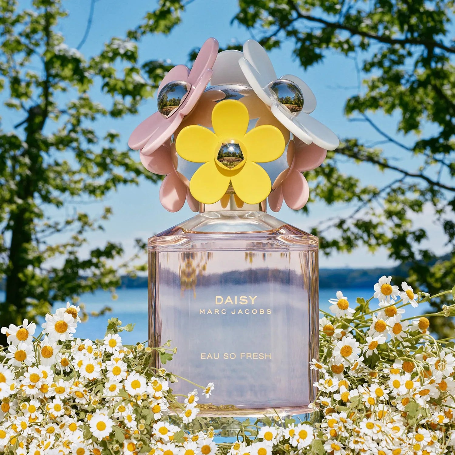 Perfume Daisy de Marc Jacobs de 75 Ml