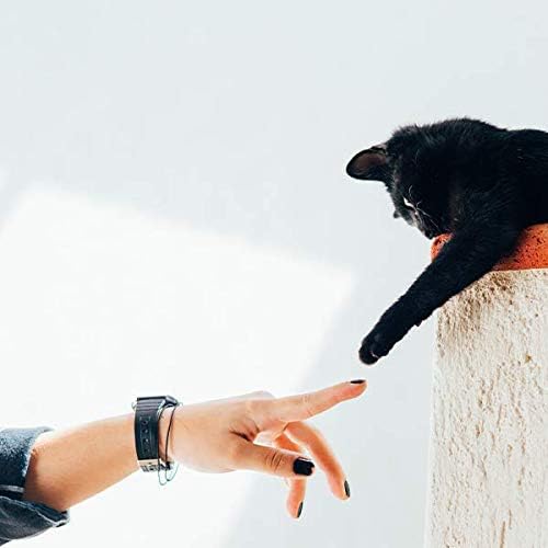 Mano con uñas negras alcanzando pata de gato negro
