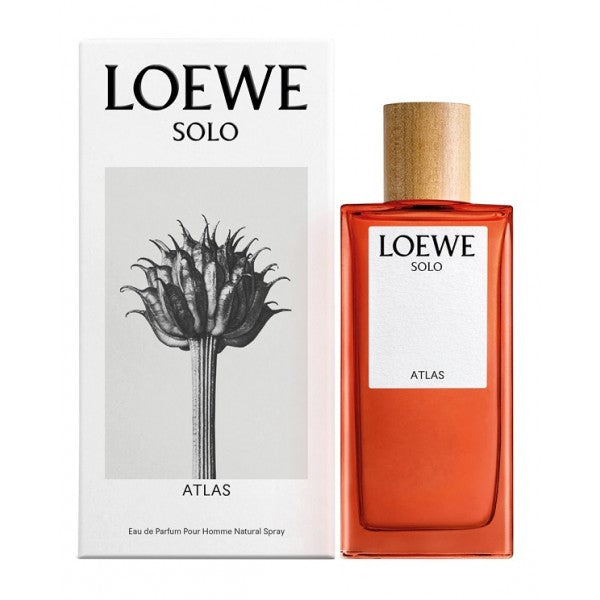Perfume Solo Atlas de Loewe de 50 Ml