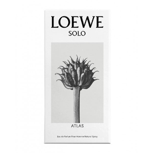 Perfume Solo Atlas de Loewe de 50 Ml