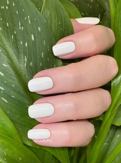 Mano de mujer con las uñas blancas Rosa Blanca naturales y brillantes del esmalte de uñas sin tóxicos de Mother Nailture