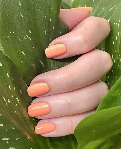 Mano de mujer con las uñas nude Peaches & Cream naturales y brillantes del esmalte de uñas sin tóxicos de Mother Nailture