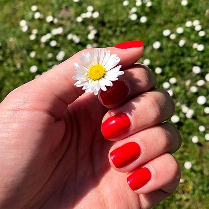 Mano con uñas rojas Scarlet Red de esmalte de gel para uñas semipermanentes sujentado margarita